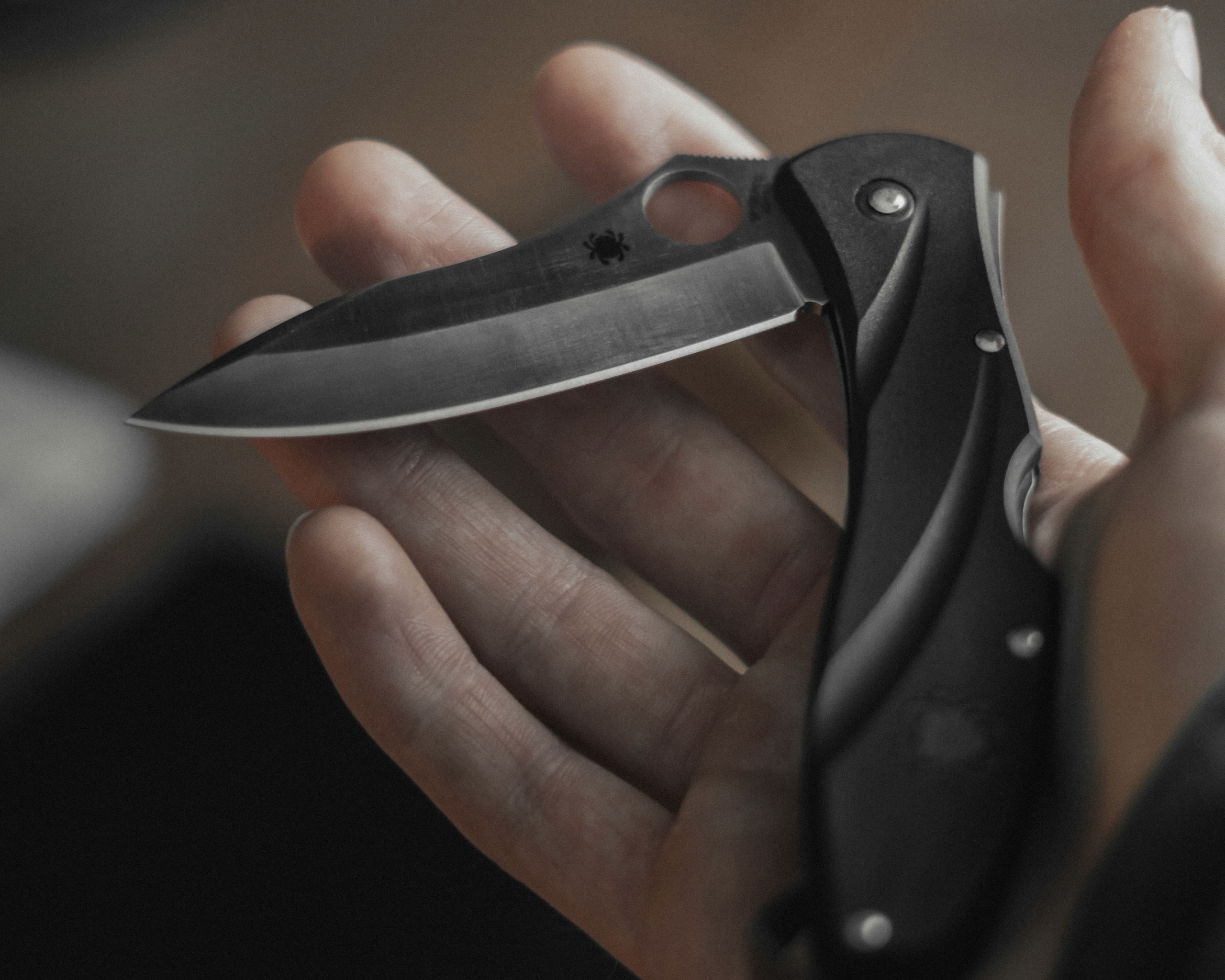 Complete Guide: Everything You Need To Know About Knives